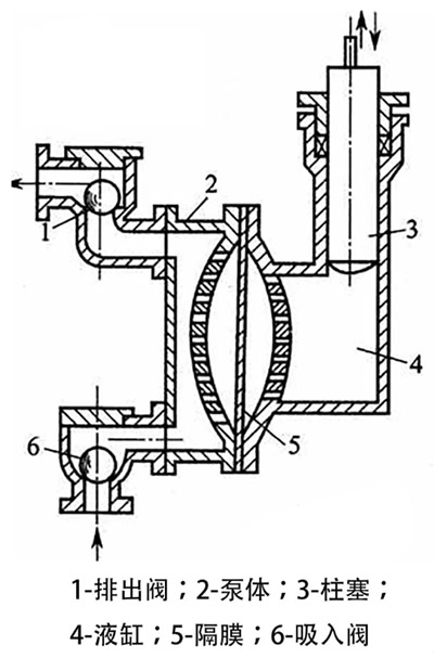 隔膜泵結(jié)構(gòu)圖片